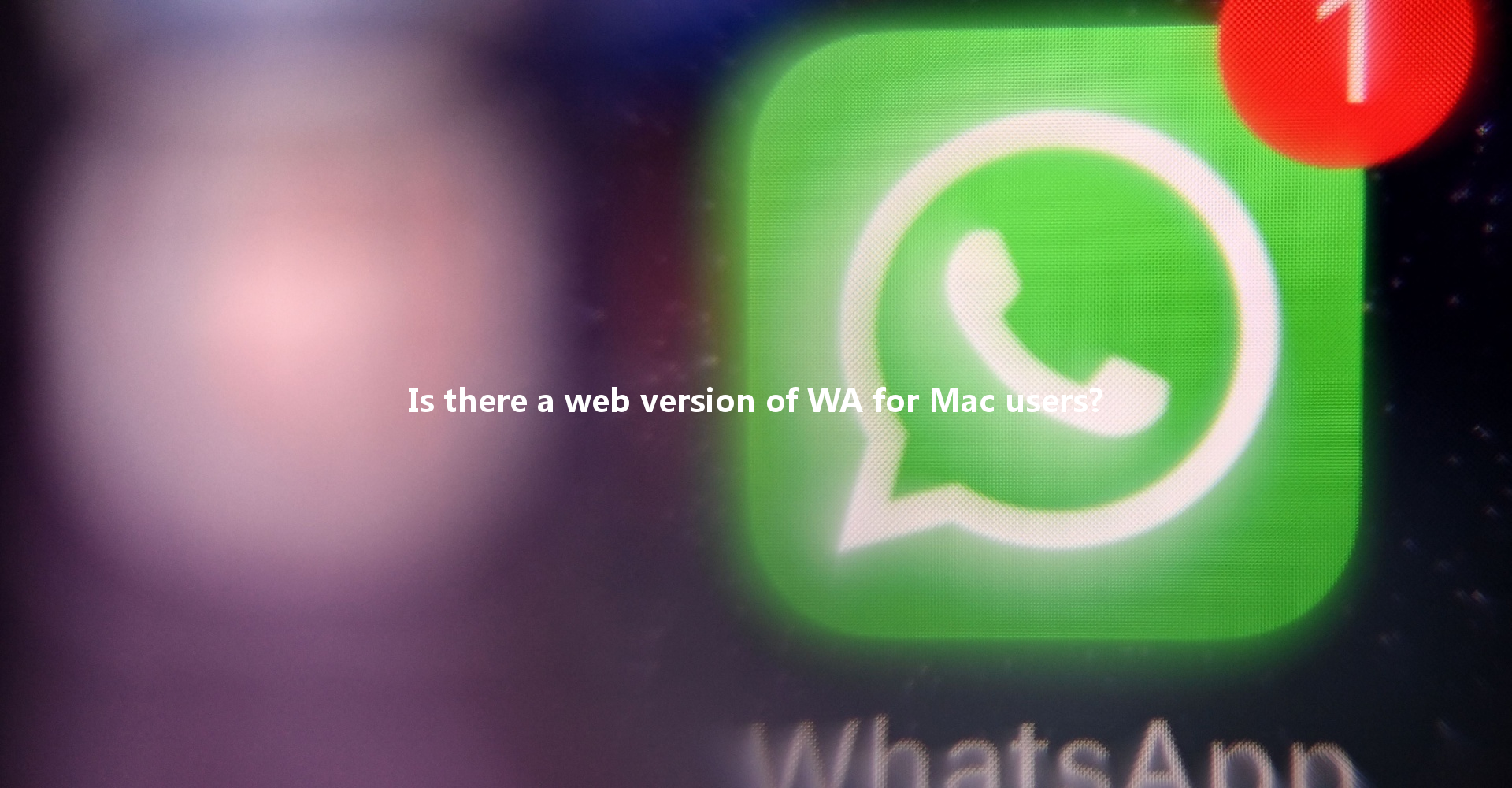 Is there a web version of WA for Mac users? 一