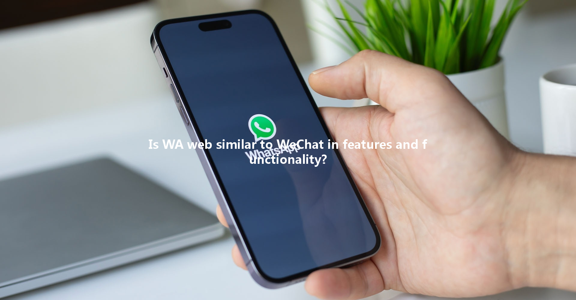 Is WA web similar to WeChat in features and functionality? 一