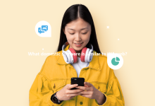 What domestic software is similar to WA web?-Wa web