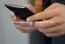 How to easily select and copy text on WA web?-Wa web
