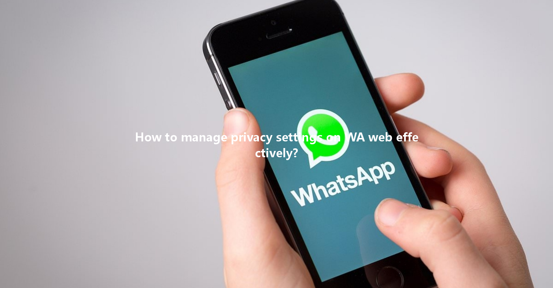How to manage privacy settings on WA web effectively? 一