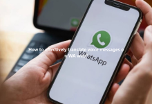 How to effectively translate voice messages on WA web?-Wa web