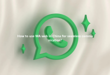 How to use WA web in China for seamless communication?-Wa web