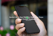 Apakah WhatsApp Web Bisa Digunakan Tanpa Ponsel Online? Penjelasa-Wa web