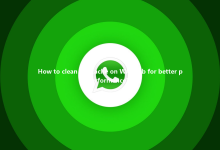 How to clean the cache on WA Web for better performance?-Wa web