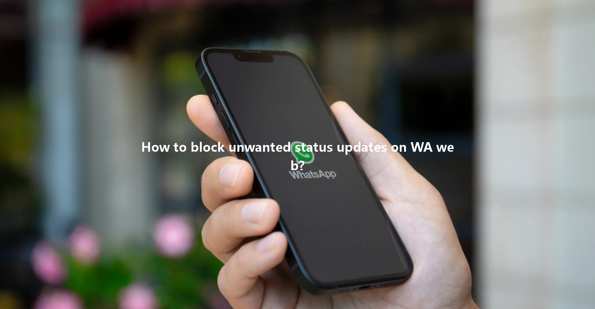 How to block unwanted status updates on WA web? 一