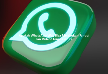 Apakah WhatsApp Web Bisa Melakukan Panggilan Video? Penjelasan Fi-Wa web