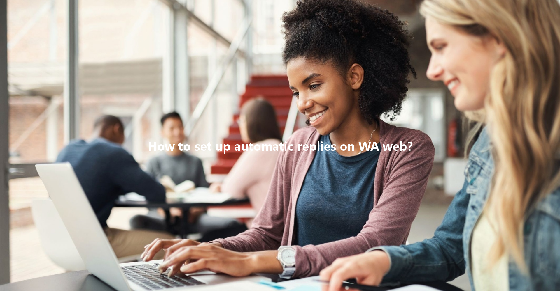 How to set up automatic replies on WA web? 一