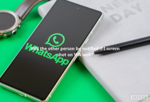 Will the other person be notified if I screenshot on WA web?-Wa web