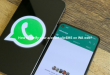 How to verify your account via SMS on WA web?-Wa web