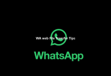 WA web File Transfer Tips-Wa web
