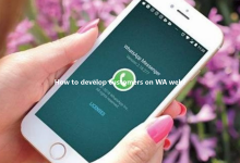 How to develop customers on WA web?-Wa web